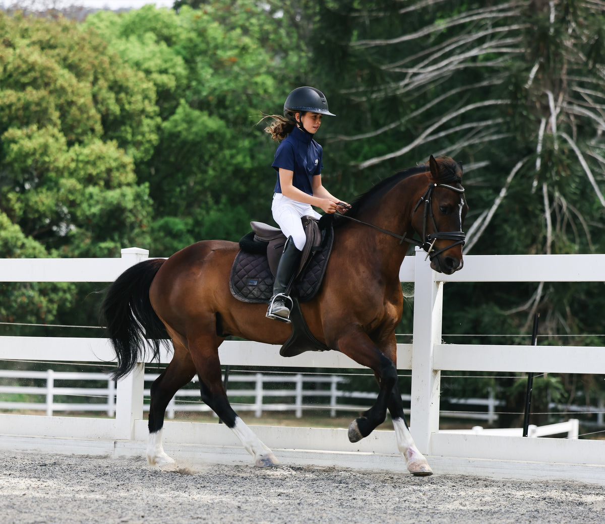 White horse and rider in the Maison edit