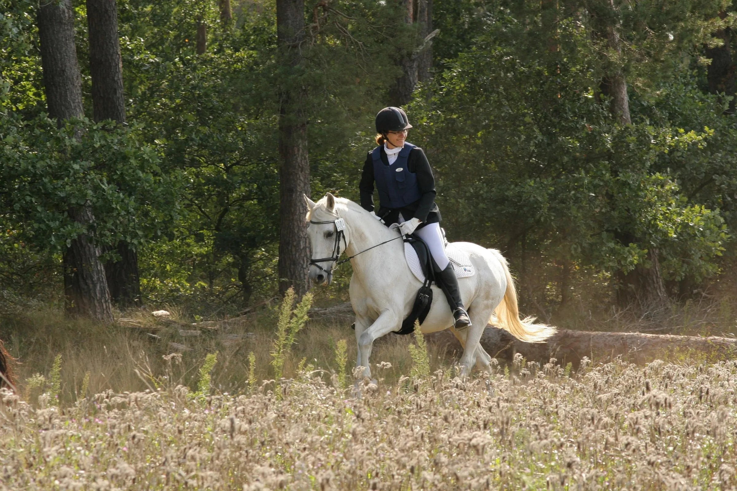 White horse and rider moving through a forest